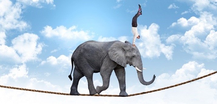 elephant-agilew_720 (1)