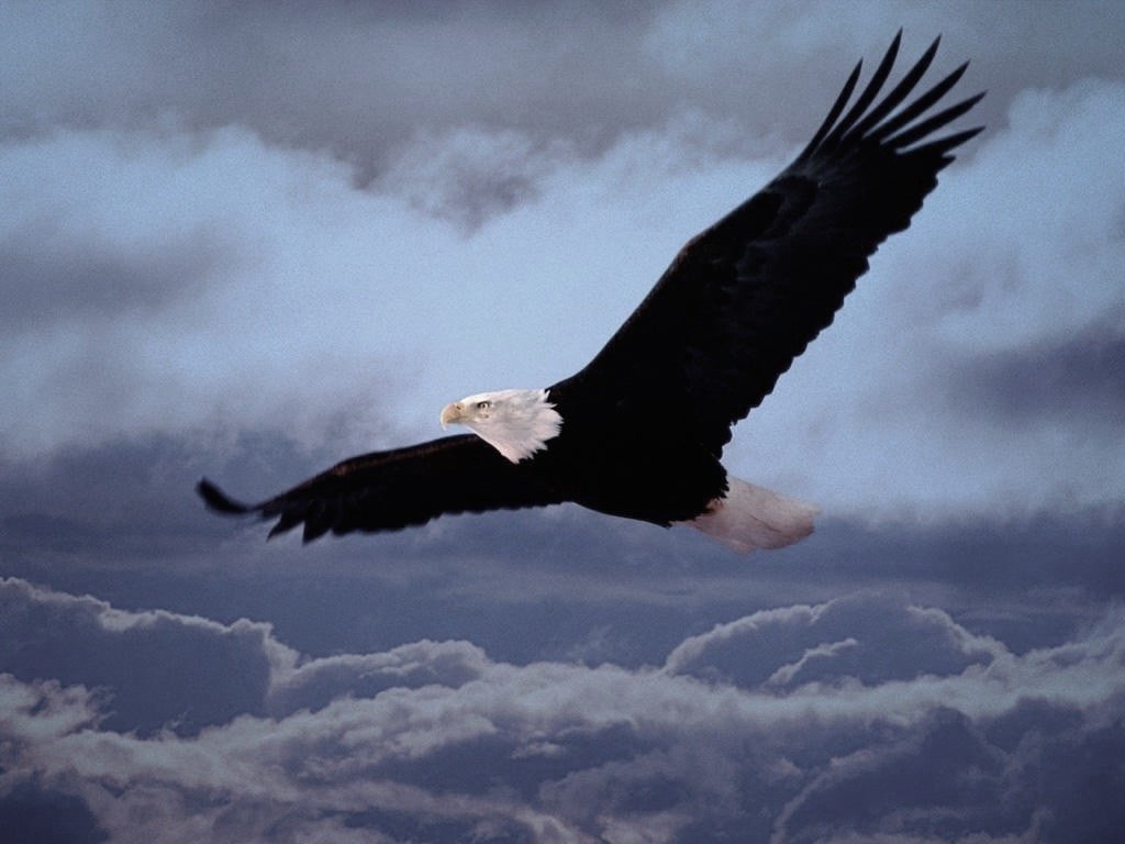 ob_ec642d_jerome-aigleroyale